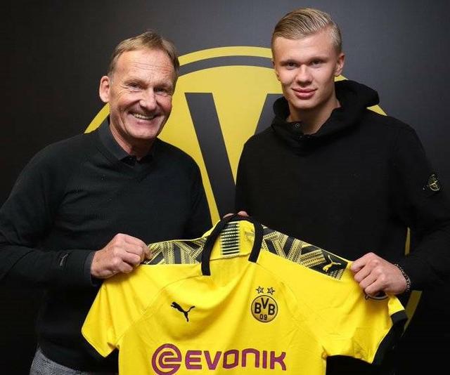 欧塞尔比赛 欧塞尔比赛